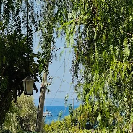 Mitoz Datca